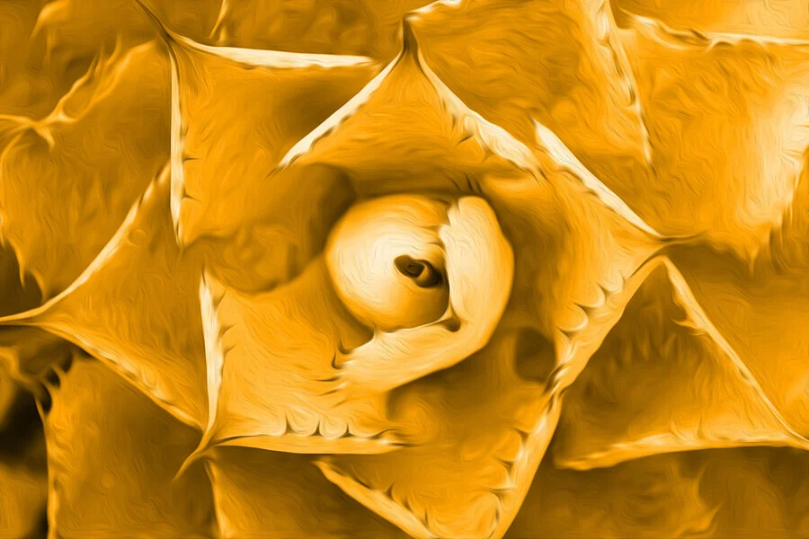 a-morphology-of-vedic-creation-hymns-1-1024xauto